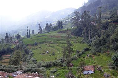 On Road-Route Ooty to Coonoor_DSC5317_H600